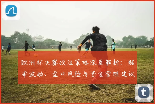 欧洲杯决赛投注策略深度解析：赔率波动、盘口风险与资金管理建议
