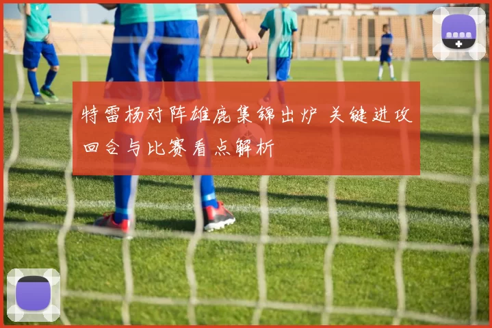 特雷杨对阵雄鹿集锦出炉 关键进攻回合与比赛看点解析